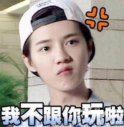 鹿晗最火表情包,火遍全网，笑点满满