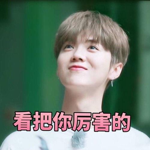 鹿晗最火表情包,火遍全网，笑点满满